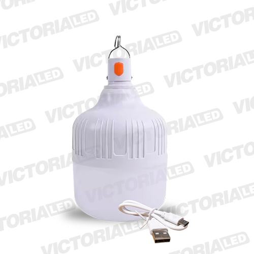 FOCO LED RECARGABLE 20W 6500K 50U/C