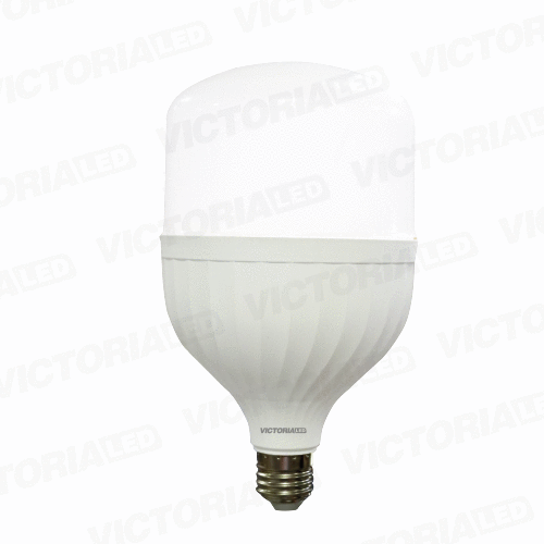 FOCO LED VICTORIA 20W 100-260V 6500K 100U/C